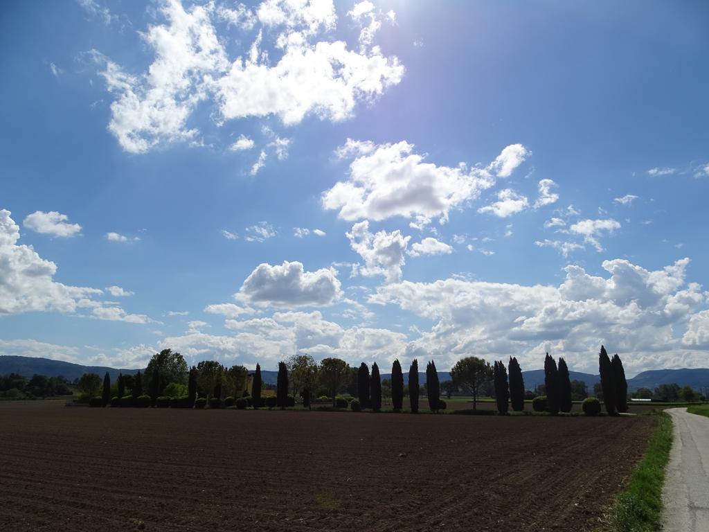 La Vecchia Stalla